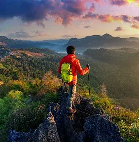 Wild elephants in photorealistic scene
